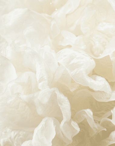 Tremella fuciformis Extract