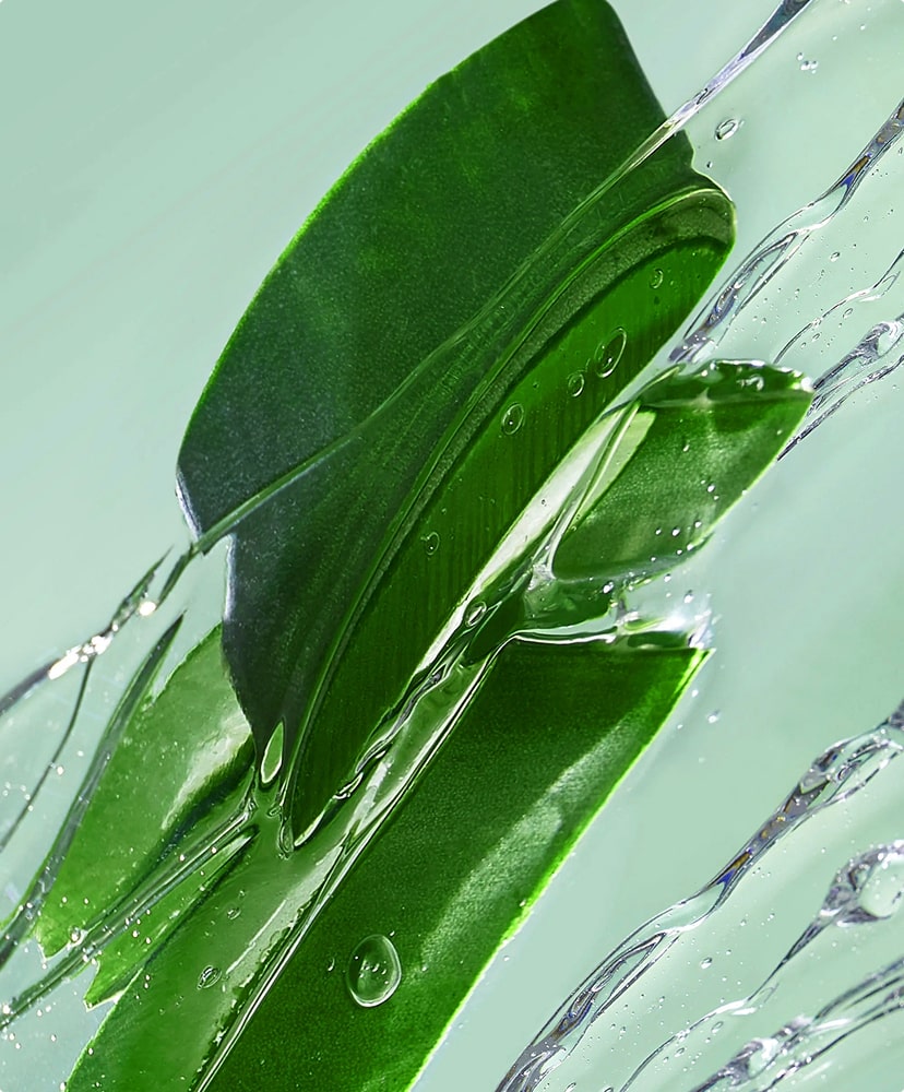 Aloe Vera Leaf Gel Concentrate (250 mg)