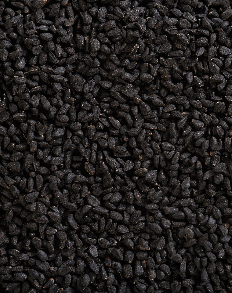 Black Seed