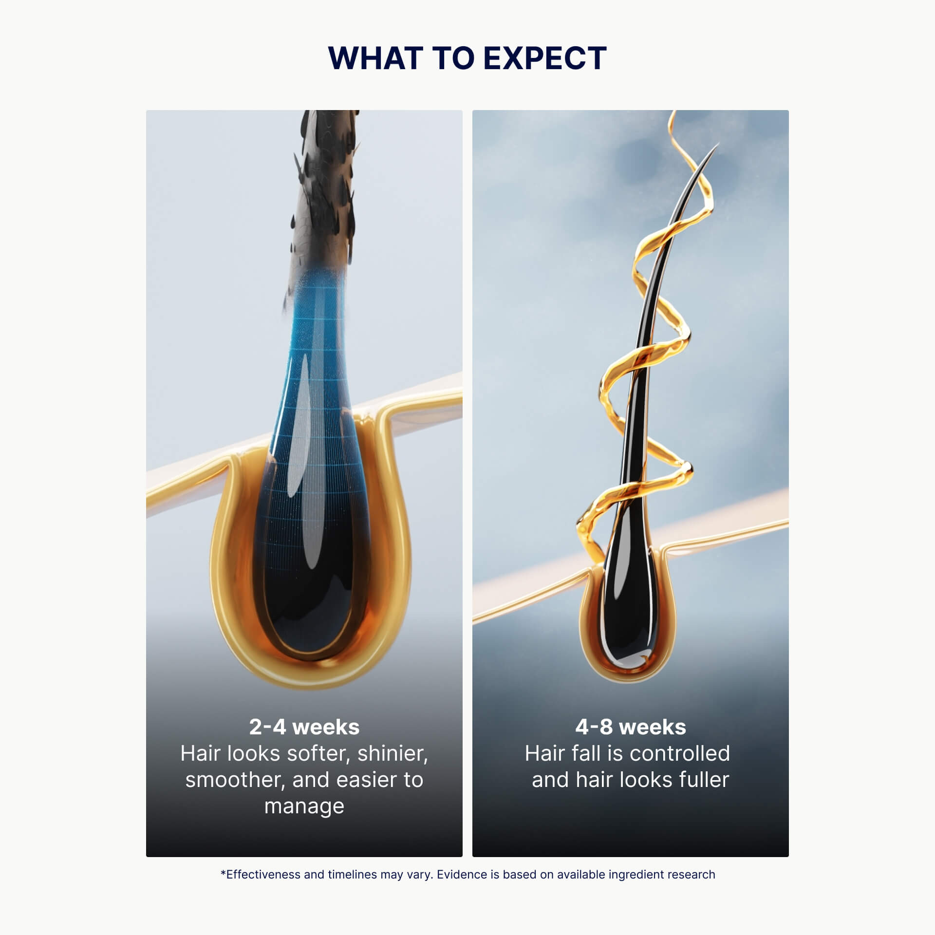 Hair follicle visuals showing results after 2–8 weeks