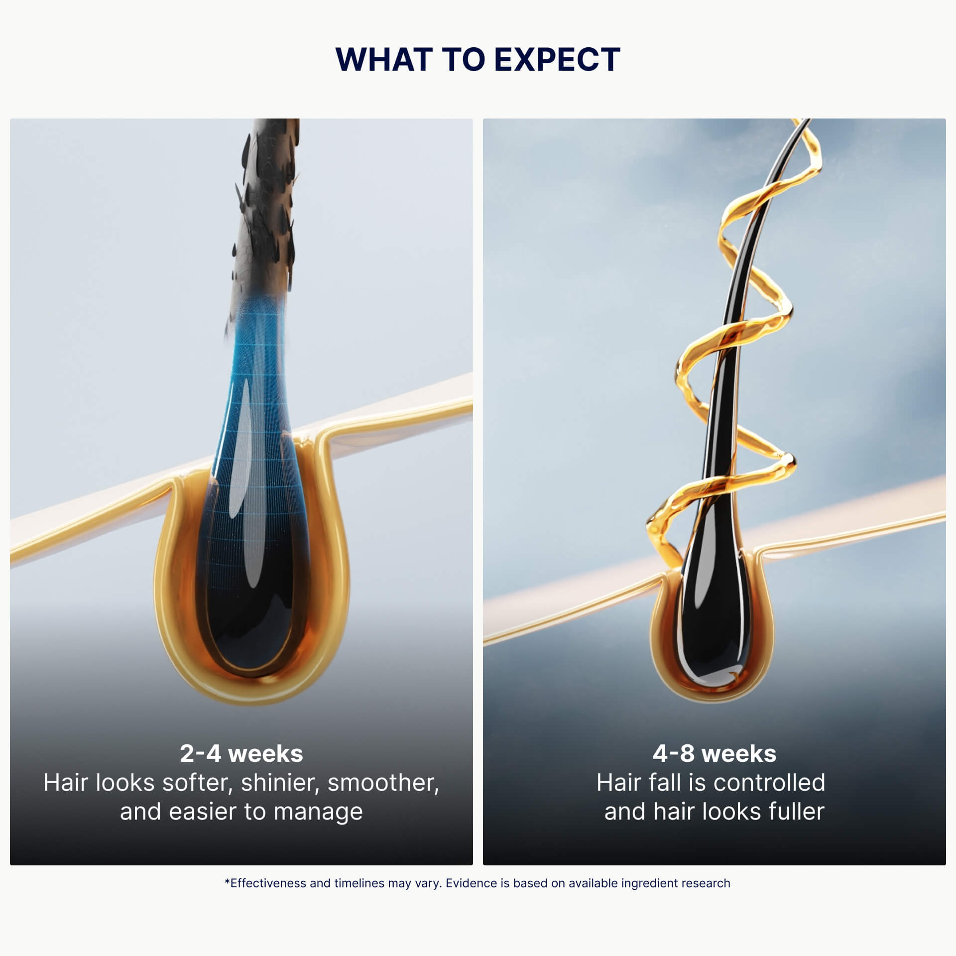 Hair follicle visuals showing results after 2–8 weeks
