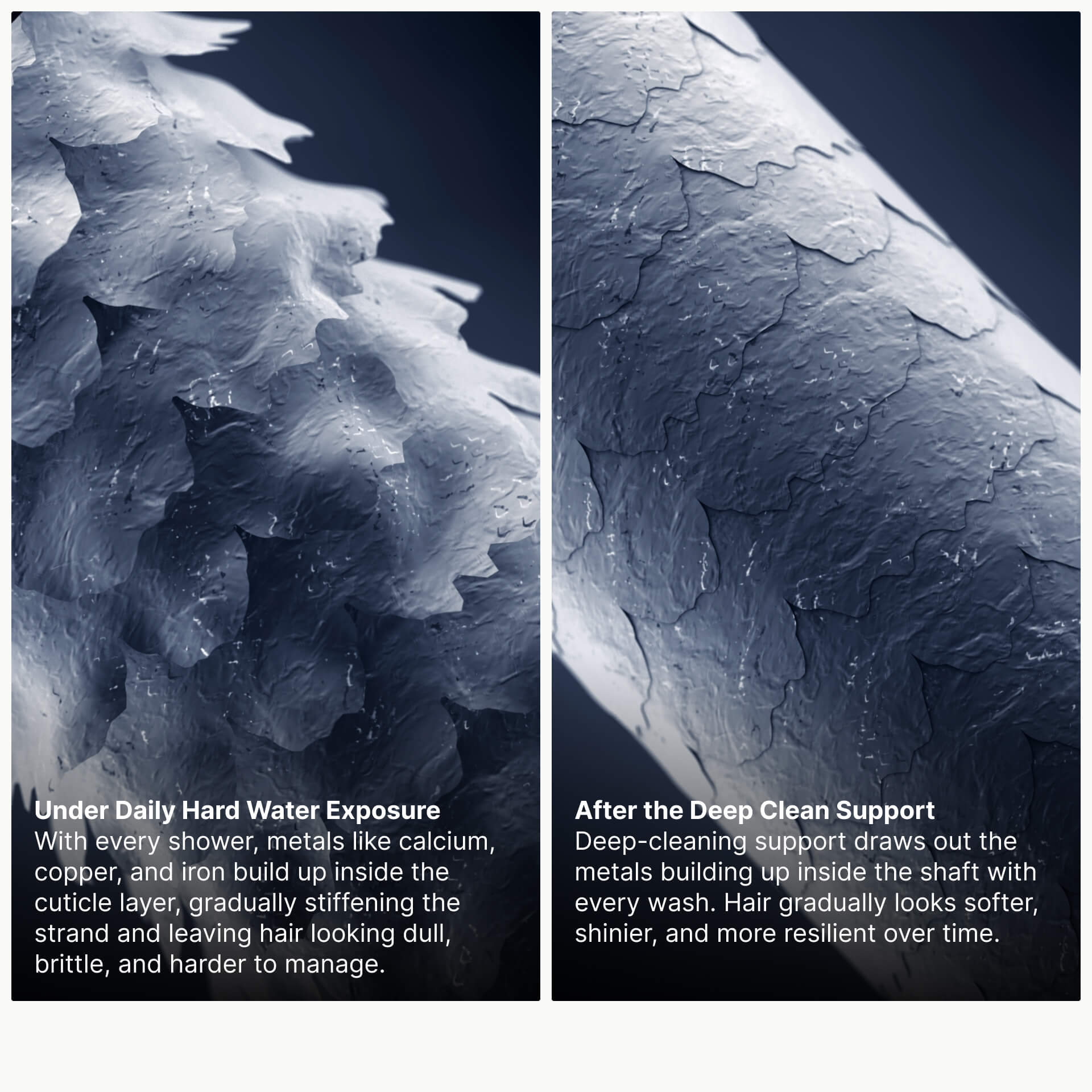 Hair strand comparison showing hard water buildup before and after deep clean support