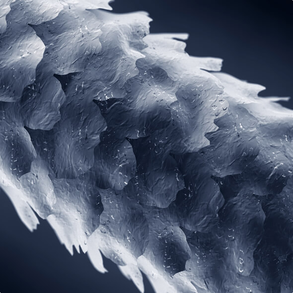 Microscopic close-up of damaged hair shaft