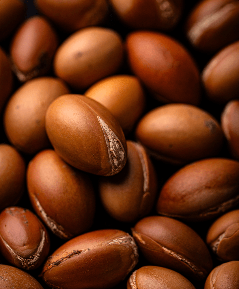 Argan Kernel