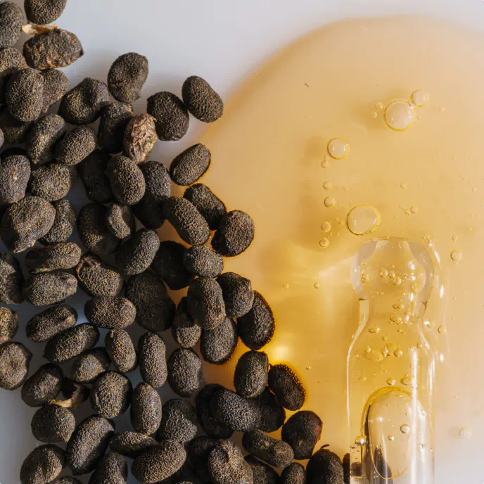 Close-up of bakuchiol seeds scattered next to a golden liquid