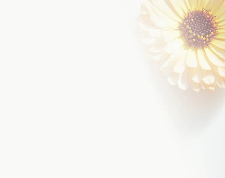 Vibrant yellow calendula flower