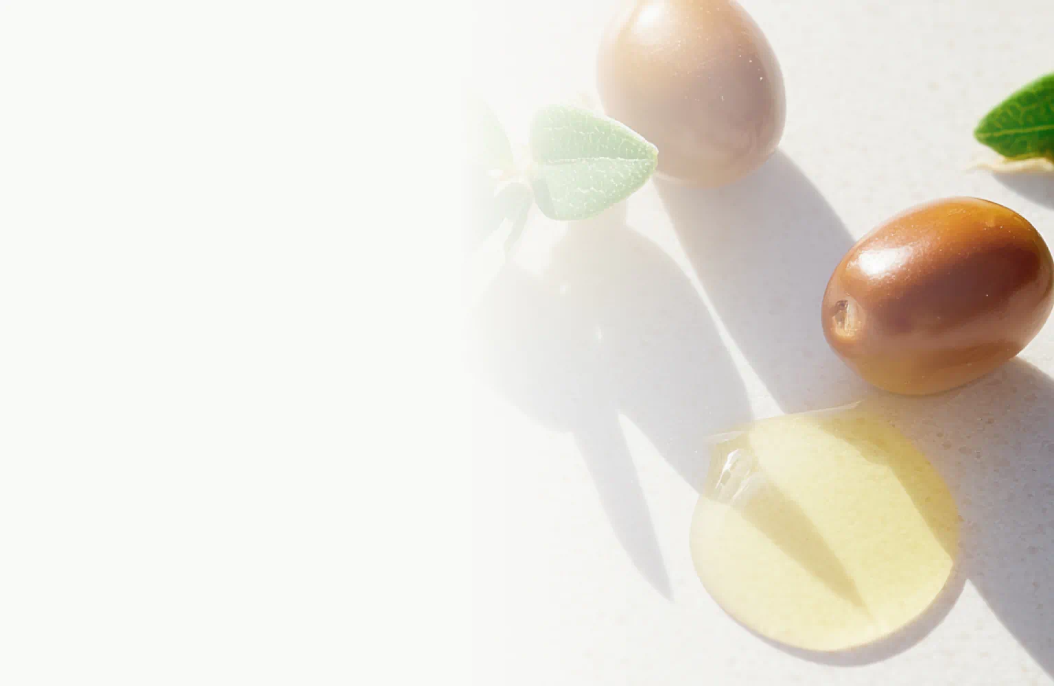 Jojoba seeds, leaves, and golden oil on a light surface