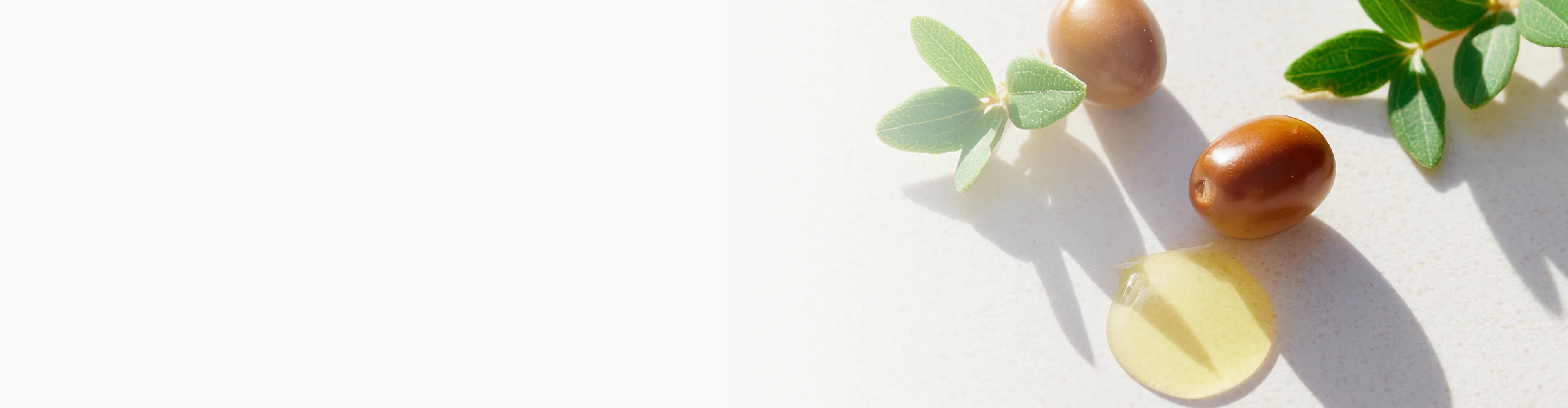 Jojoba seeds, leaves, and golden oil on a light surface