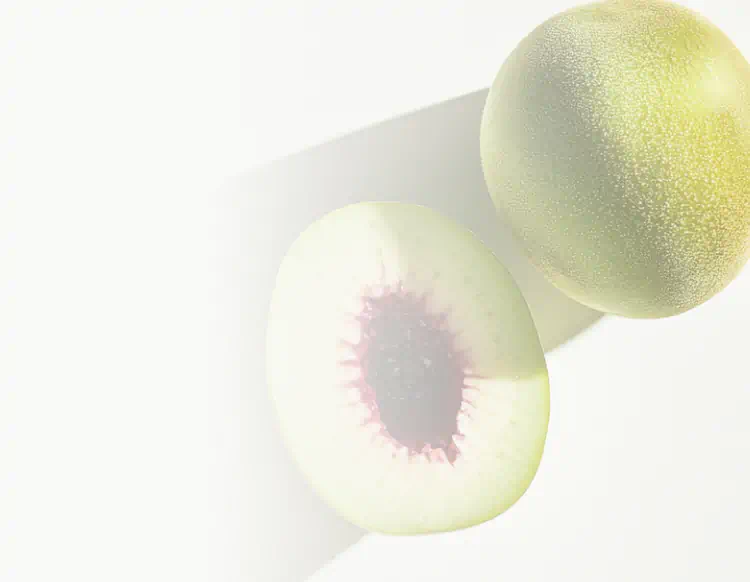 A whole and halved Kakadu plum fruit