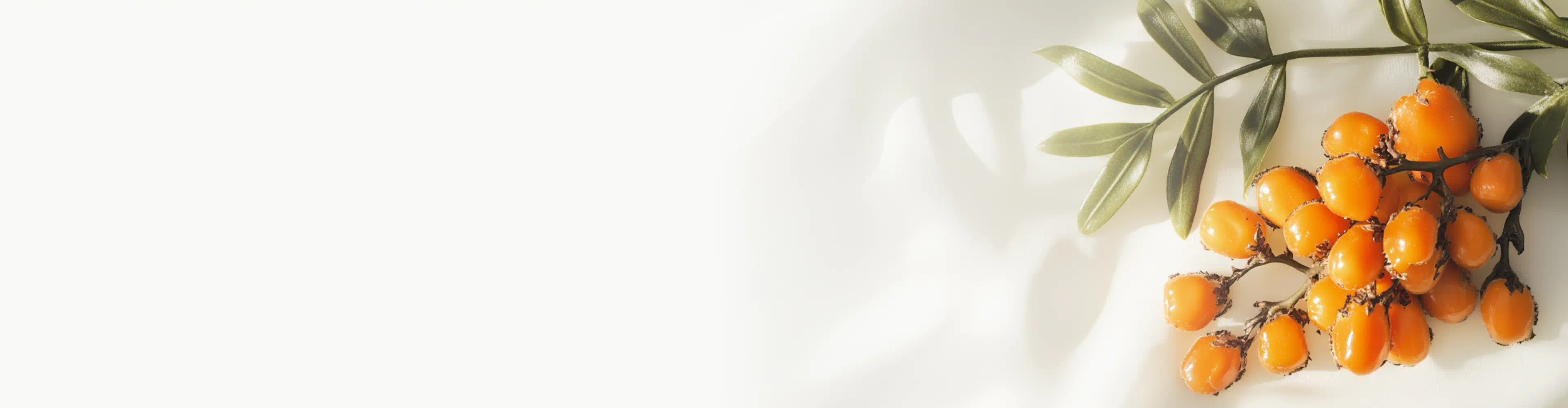 A cluster of vibrant orange sea buckthorn berries on branches with green leaves