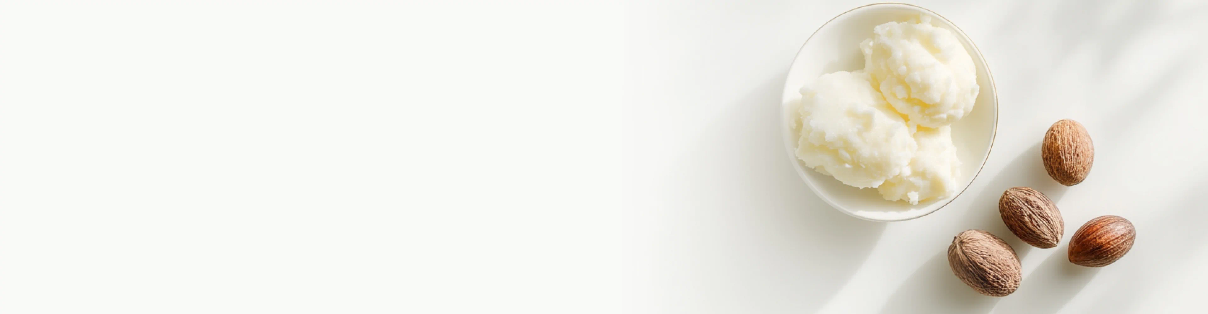 Bowl of ivory-colored shea butter with whole shea nuts on a white background