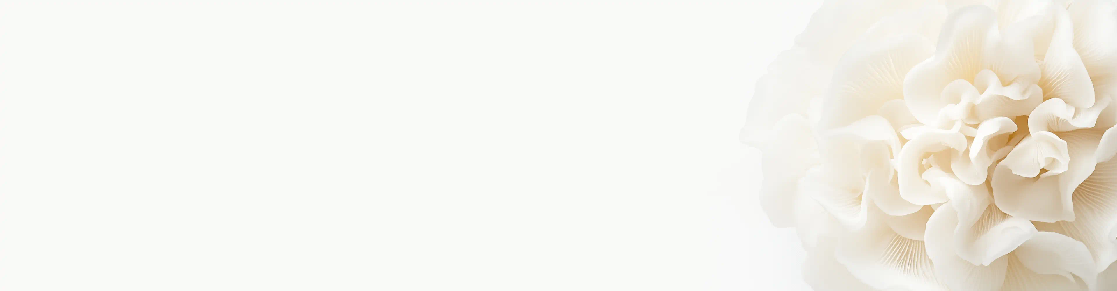 Close-up of a snow mushroom (Tremella Fuciformis) with ruffled, translucent white folds