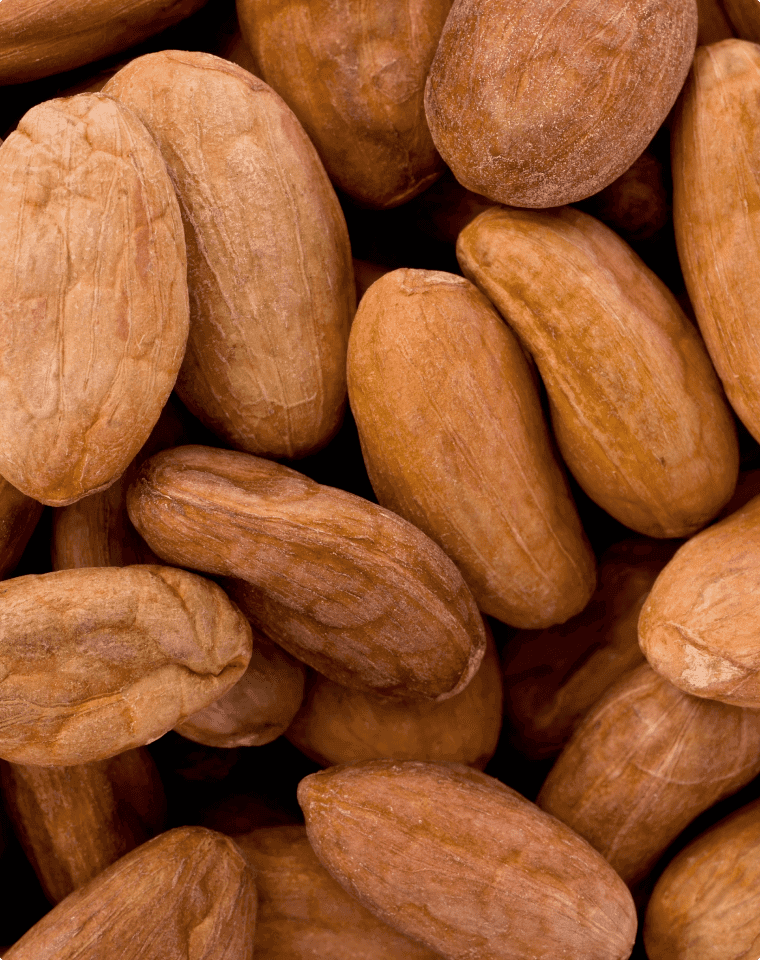 Cacao Seed Butter
